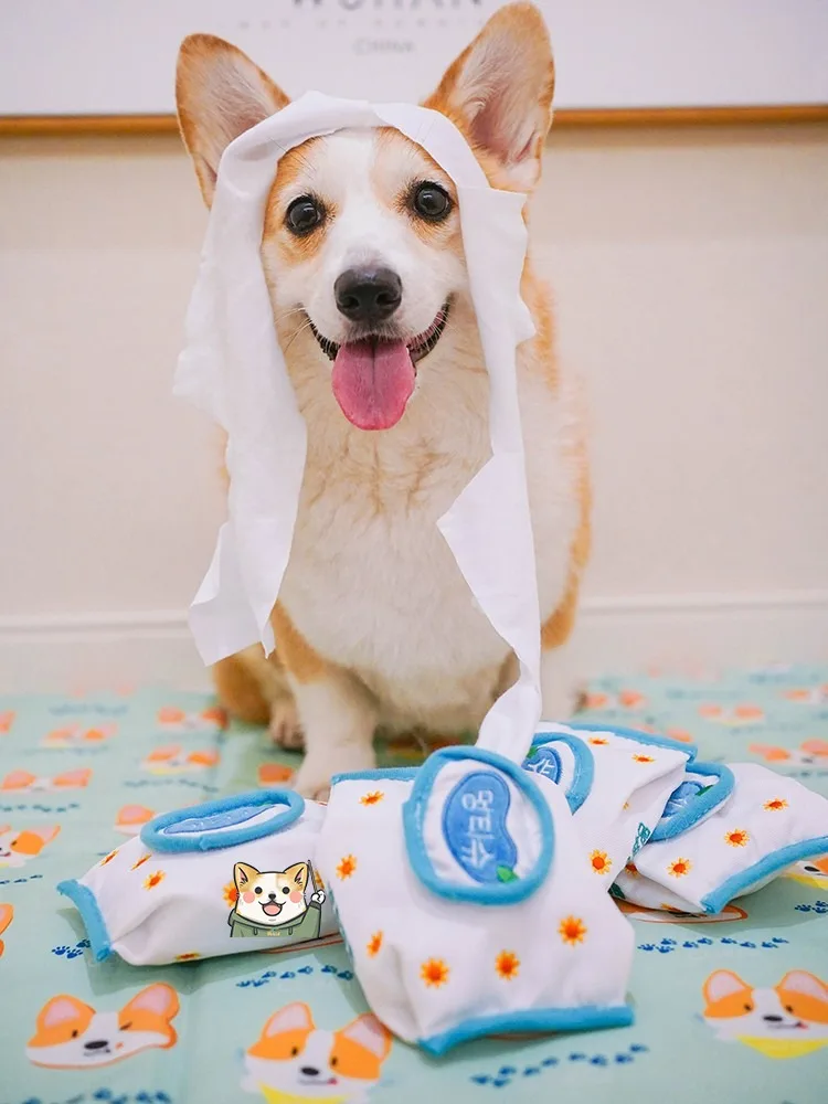 Wholesale Hot Sale Designer Korean Wet Tissue Paper Dog Food Hidden Toy Chew Pet Squeaky Toys