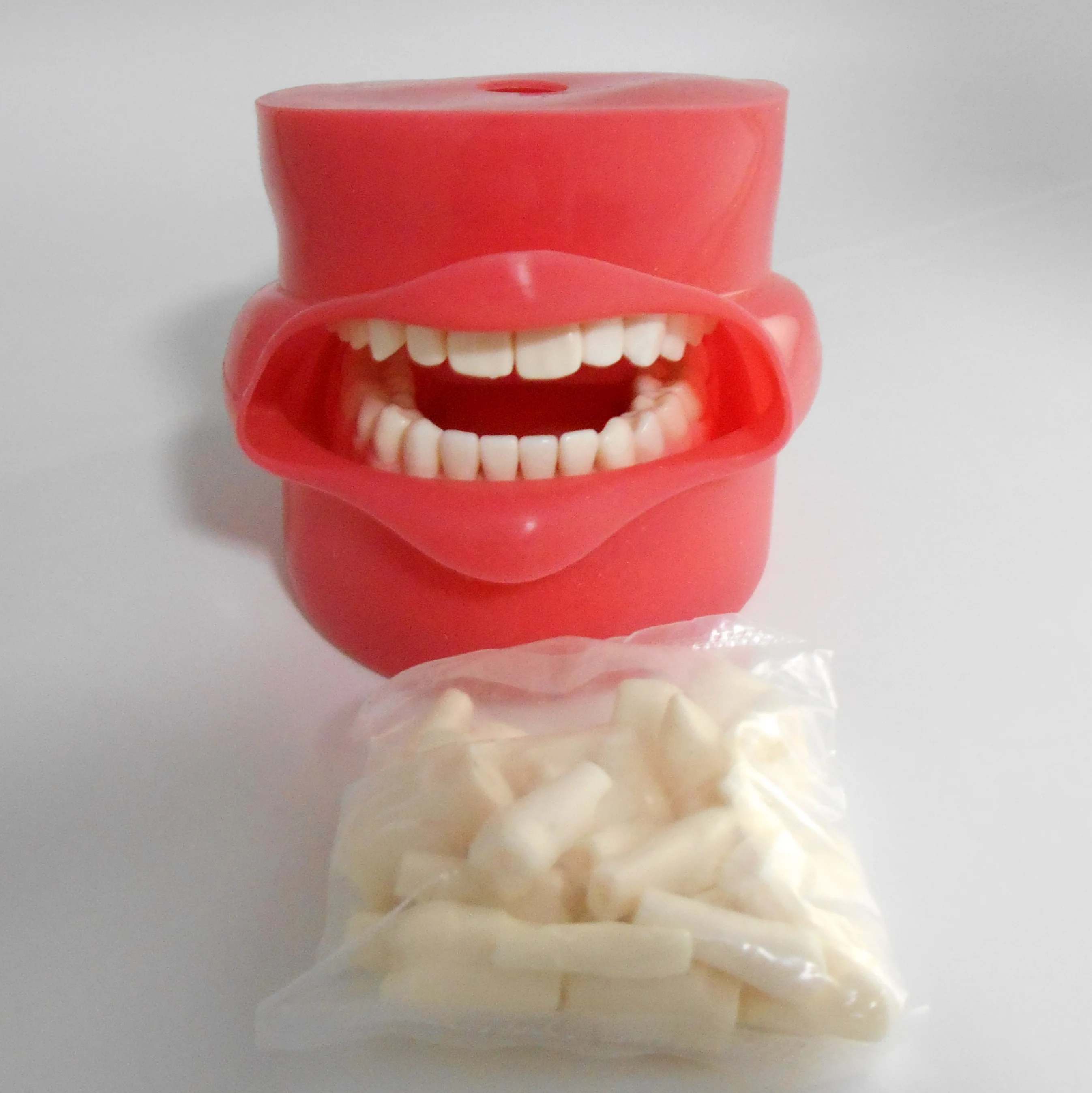 Cheap dental simple training Phantom head model