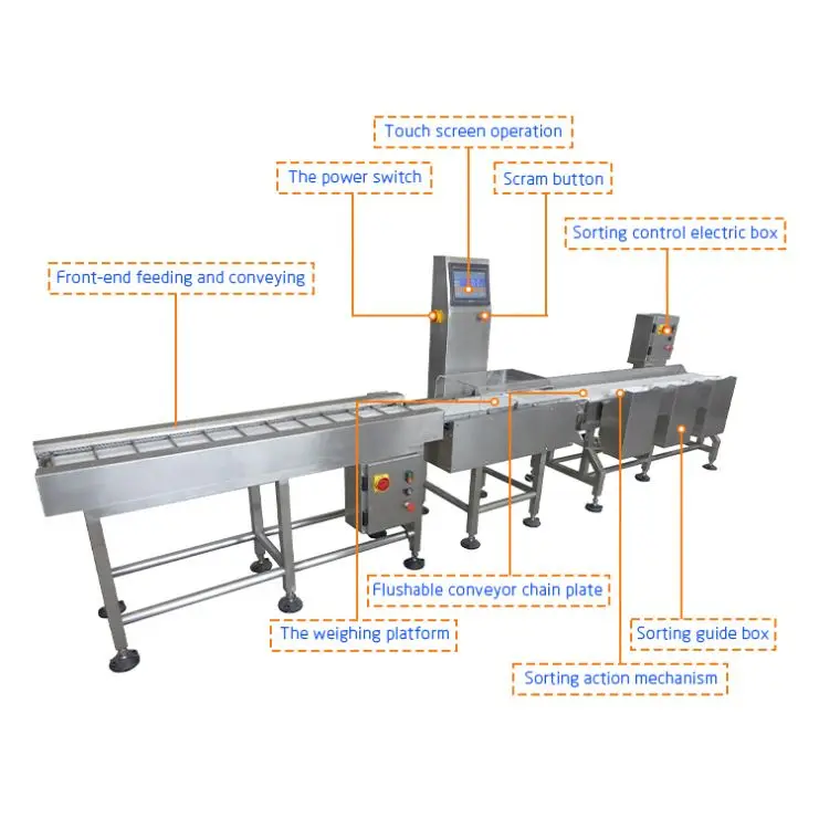 Frozen Salmon Fish chicken Weight Sorting Machine/steak seafood shrimp Weight Sorters