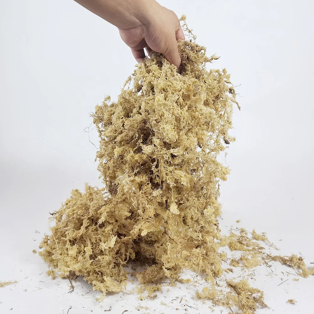 Oem Dried Garden Supplies Lichen Dried Natural Preserved Wholesale Peat Green Preserved Custom Muschio Mos Sphagnumn Moss