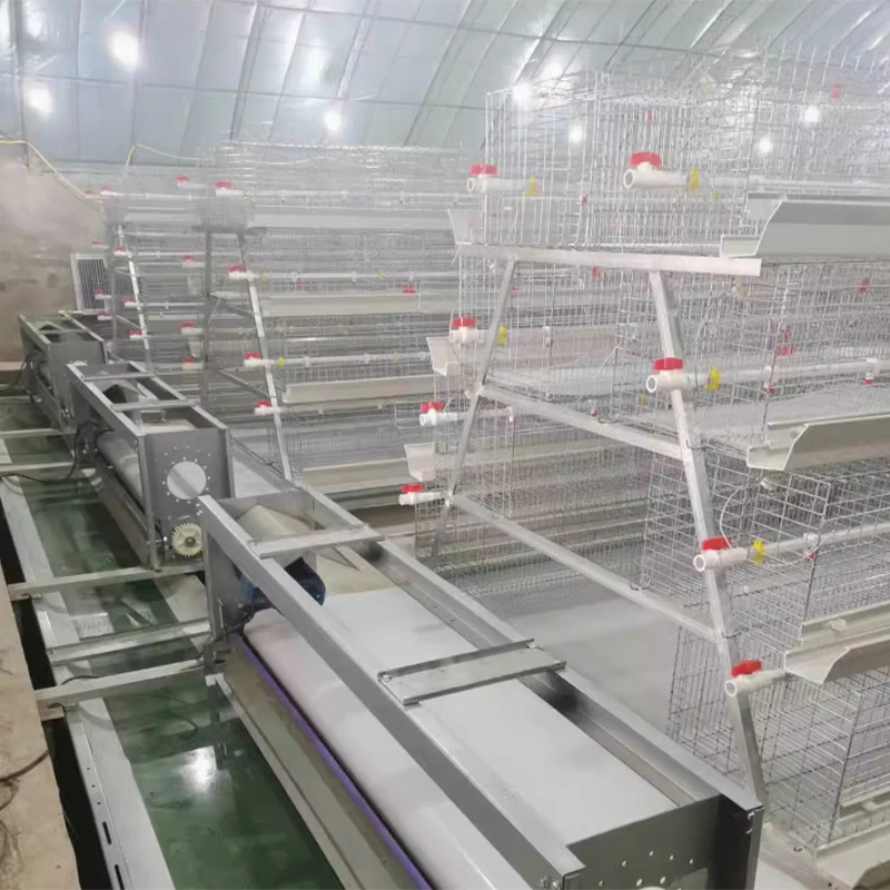 Заводская оцинкованная стальная проволока типа «клетка для яиц» автоматический курятник птицефабрик