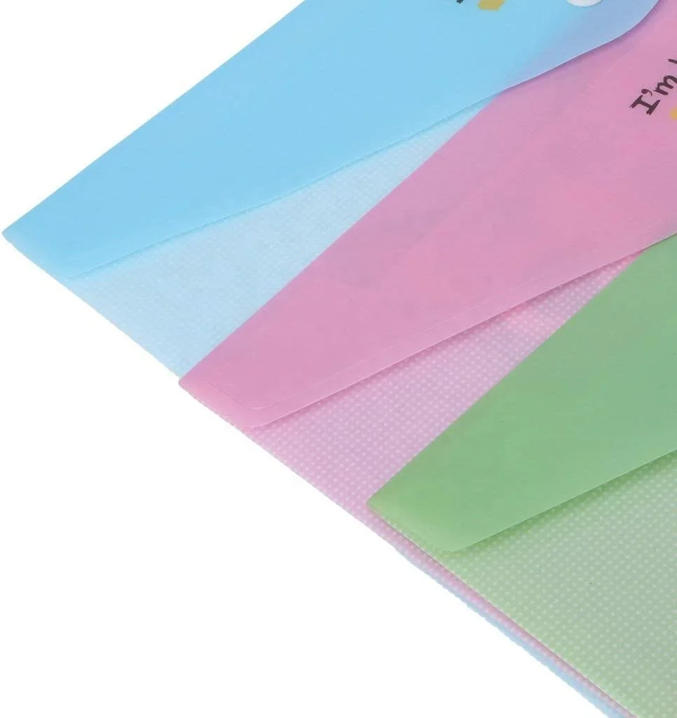 File Bag PP/PVC Folder 2 Pack A4 Envelope Document Storage Pouch Organizer for Office Business