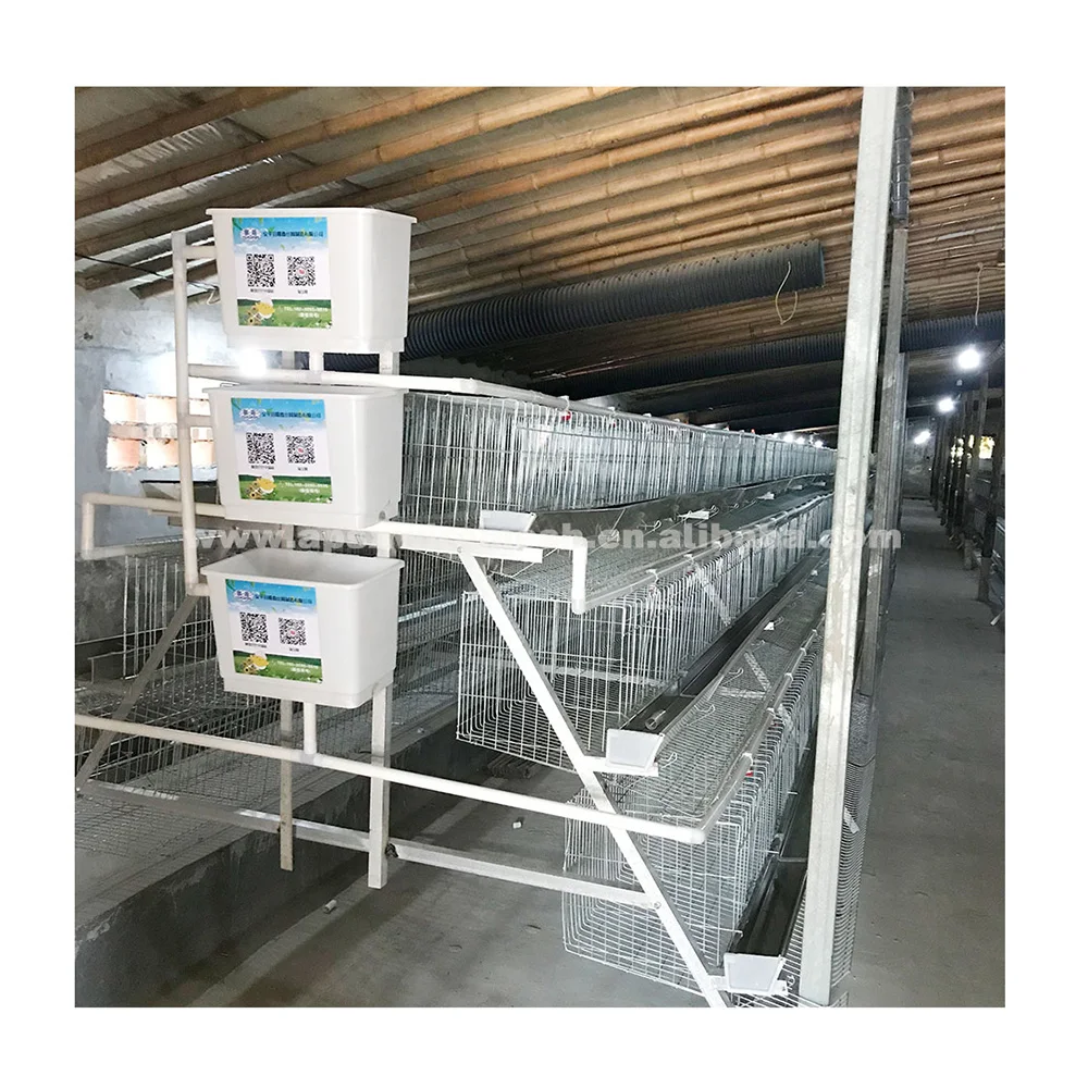 chicken laying cage galvanized automatic A type chicken cages layer poultry for farming