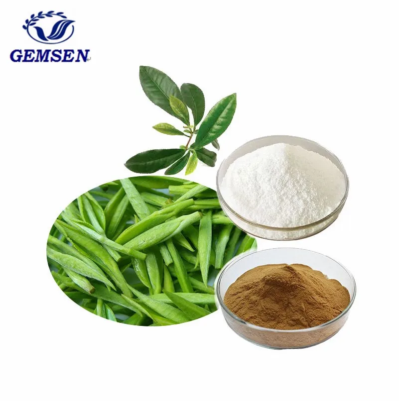 Natural Polyphenol 95% 98% , EGCG 45% 90% 95% , Cafeine , Catechin , Green Tea Extract Powder
