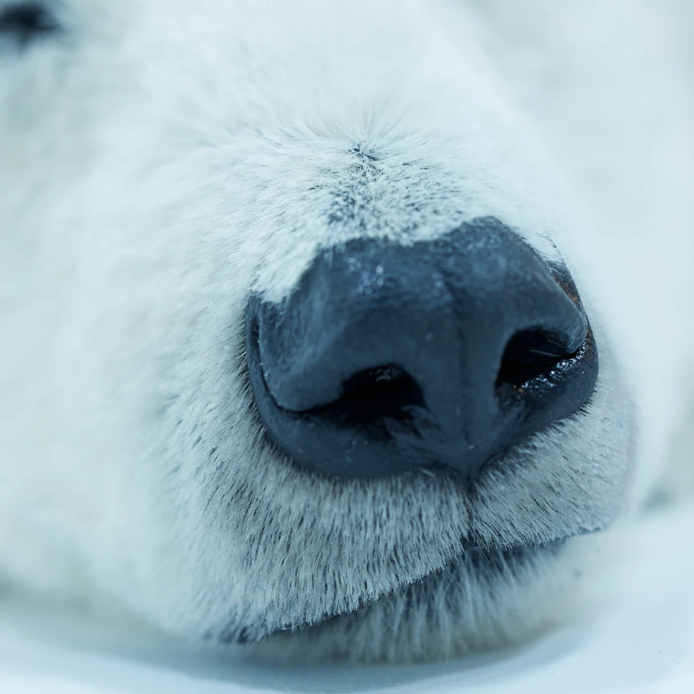 100% Artificial Polar Bear New Molding Craft Suppliers For Artwork