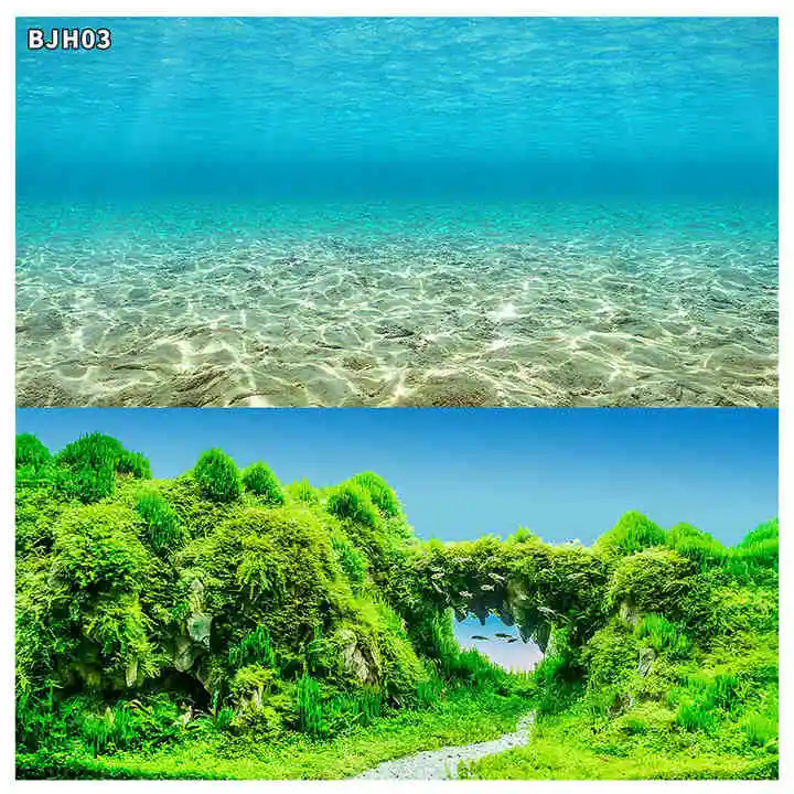 Manufacturer Aquarium Background Sticker Double Sided Fish Tank Decorative Pictures Underwater Backdrop Decor