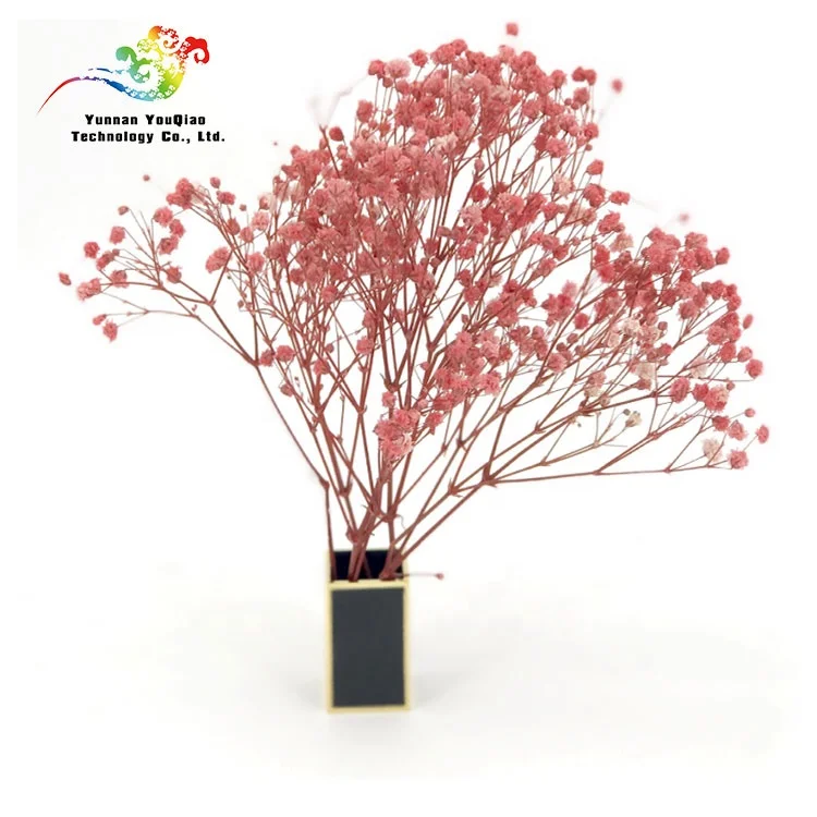 
2020 Новое поступление сушеных консервированных гипсофил детский цветок на дыхание 30-40 см для подарков на день Святого Валентина и украшения для дома и офиса 