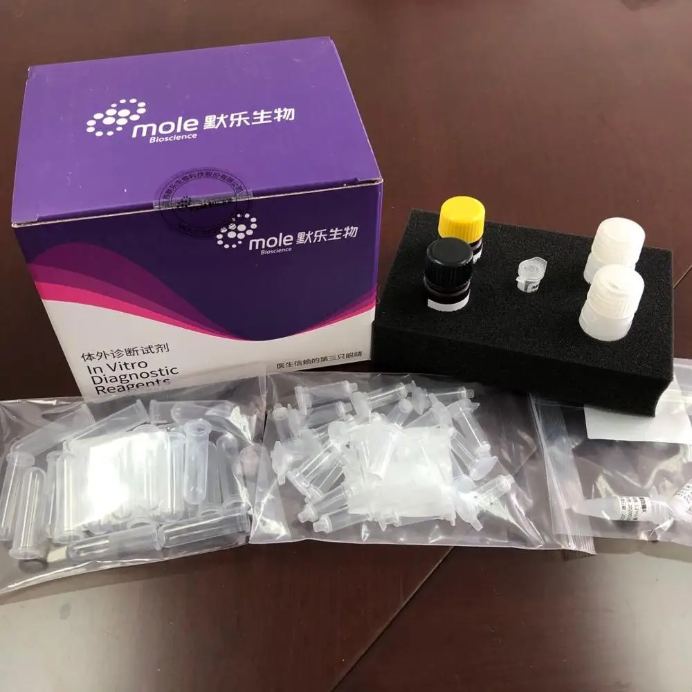 
rtpcr reagent kit detect ORF1ab N gene Fluorescent Probe real time PCR kits 