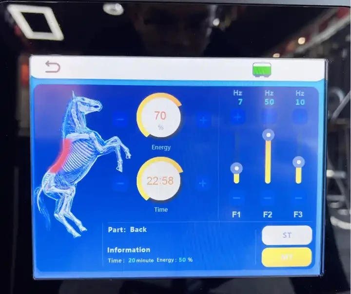 magneto therapy veterinary physio machine physiotherapy pemf  Portable use Massage Machine For Muscle Relaxation Massage fo