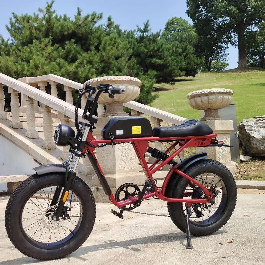 CQJB zongshen 250cc NEXUS250 NEXUS300 EFI преобразователь двигателя для велосипеда