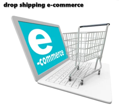 
Professional Dropship with Sourcing and Branding Free Warehouse Supplier Service For Shopify Ebay Amazon Wish Shopee Fulfillment 