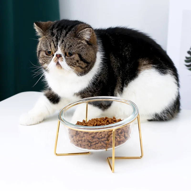 Hot Selling Customized Pet Food Feeder Glass Bowl Pet Cat Dog Bowl With Stainless Steel Stand
