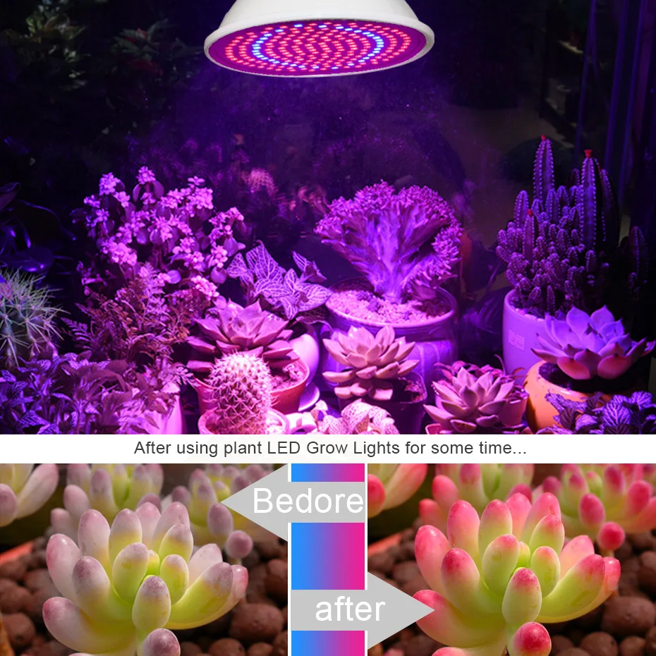 Led Grow Lights Bulb Led Plant Lamp For Greenhouse Hydroponics Plant Seedling Growing