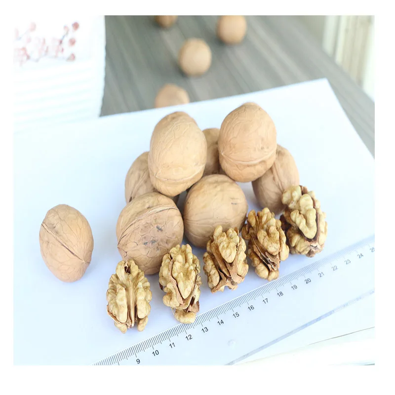 2021 HACCP Organic Walnuts Snack Food High Quality Chinese Walnut
