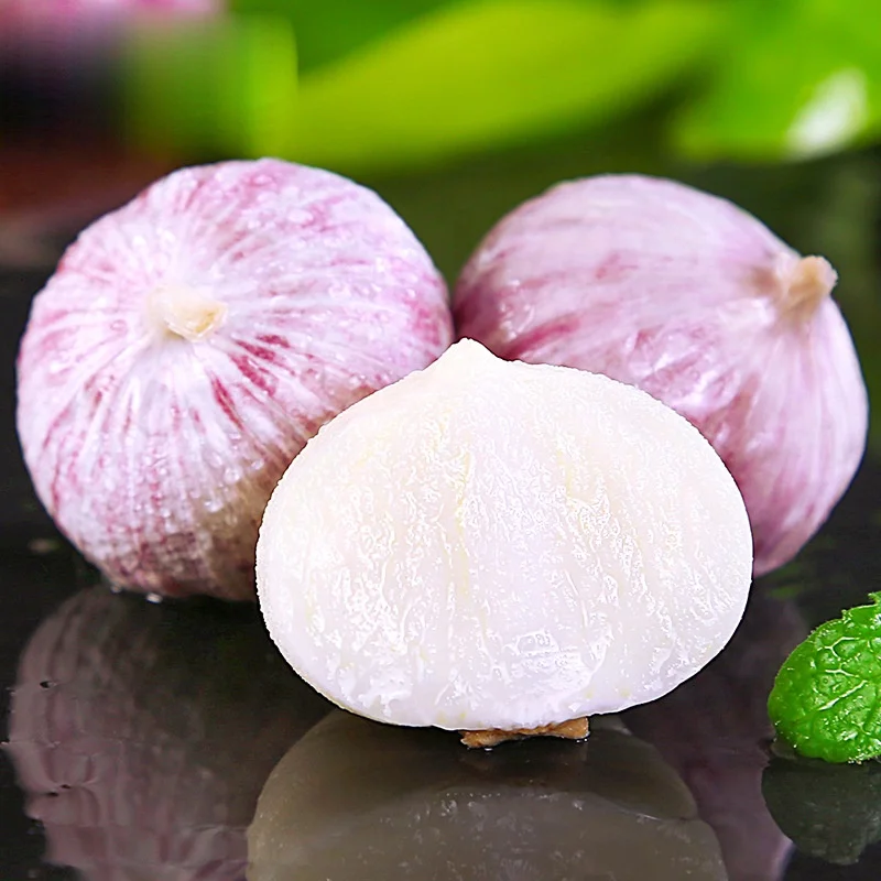 100% Natural Ripe Single Head Garlic Wholesale Price Now Digging Fresh Purple Garlic Wet and Dry Farm Vegetables