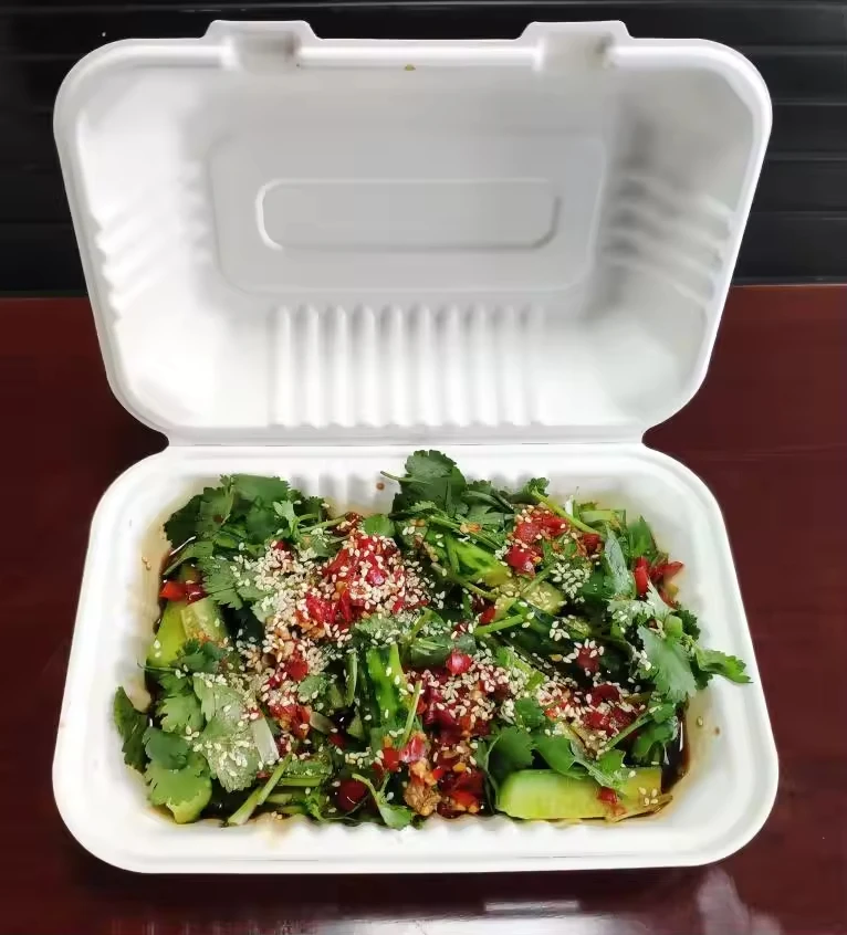 sugarcane bagasse tableware 9' *6' Clamshell disposable bagasse food container