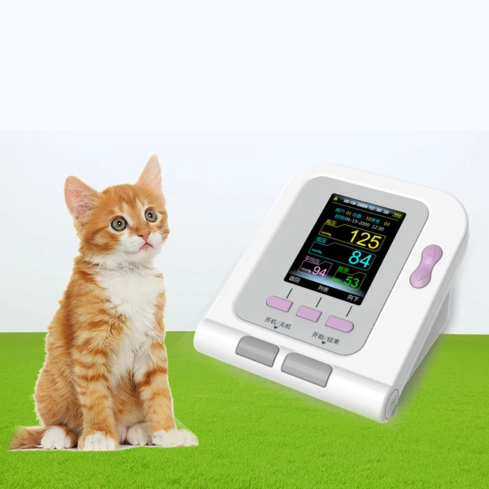 Veterinary sphygmomanometer pet cat dog blood pressure monitor animal blood pressure measurement manufacturer wholesale