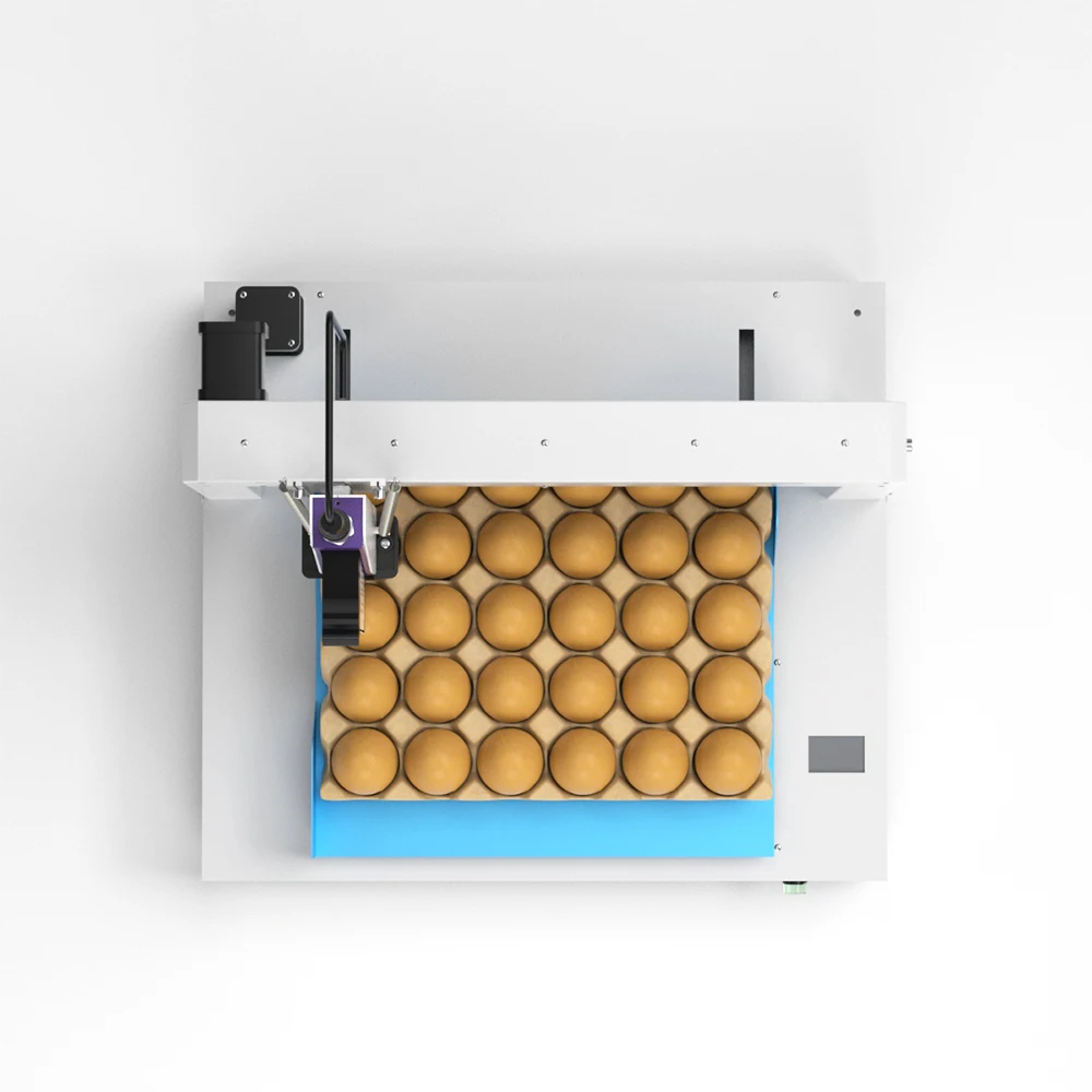 Continuous Egg Date Printer Automatic Inkjet Printer For Egg Online Inkjet Printer High-Speed Expire egg coding machine