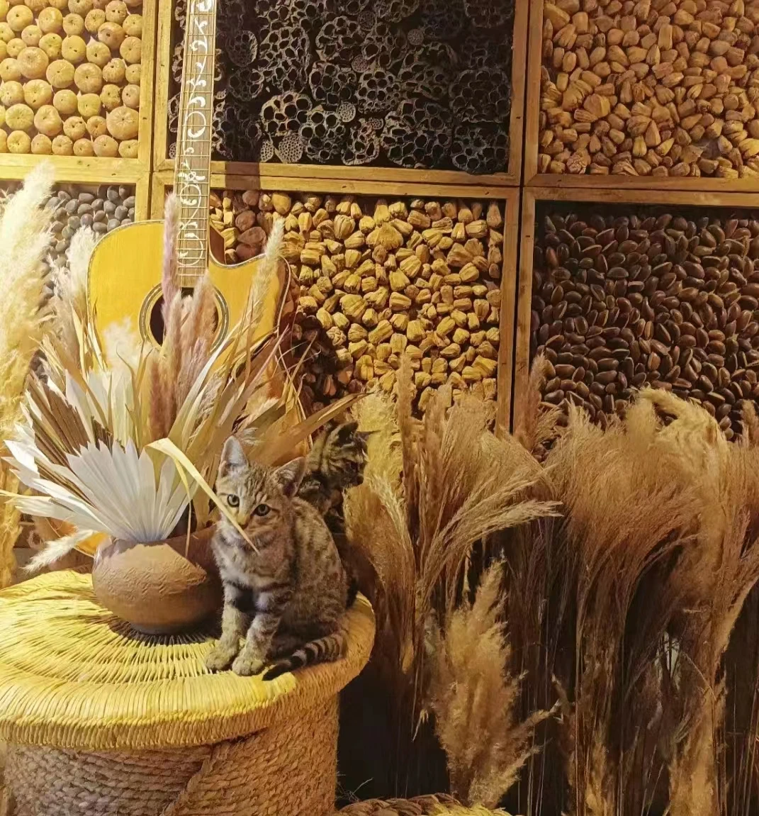 Hot Sale Dry Palm Leaf Decoration,  Sun Palm Spear, For Cake Decoration Home Wedding