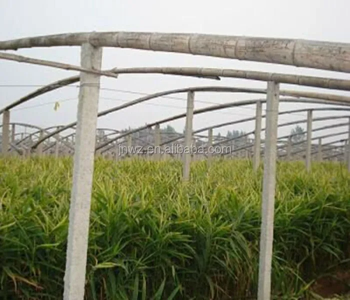 
Prestressed Concrete Post Making Mold Price 