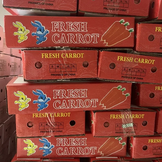 4kg China Fresh Carrot Export Oman  80-150g