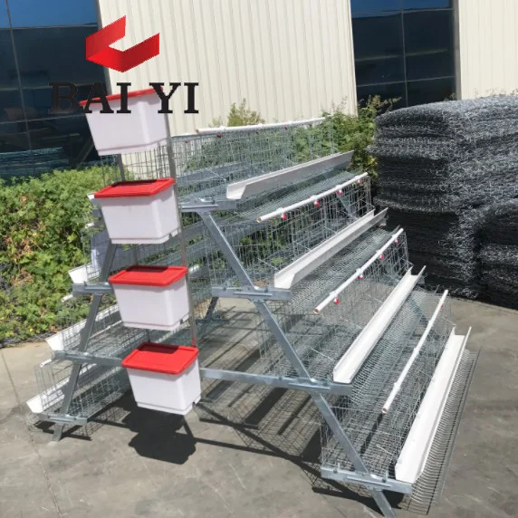 A shaped Frame 128 poultry cages for layer chickens for 10000 chickens