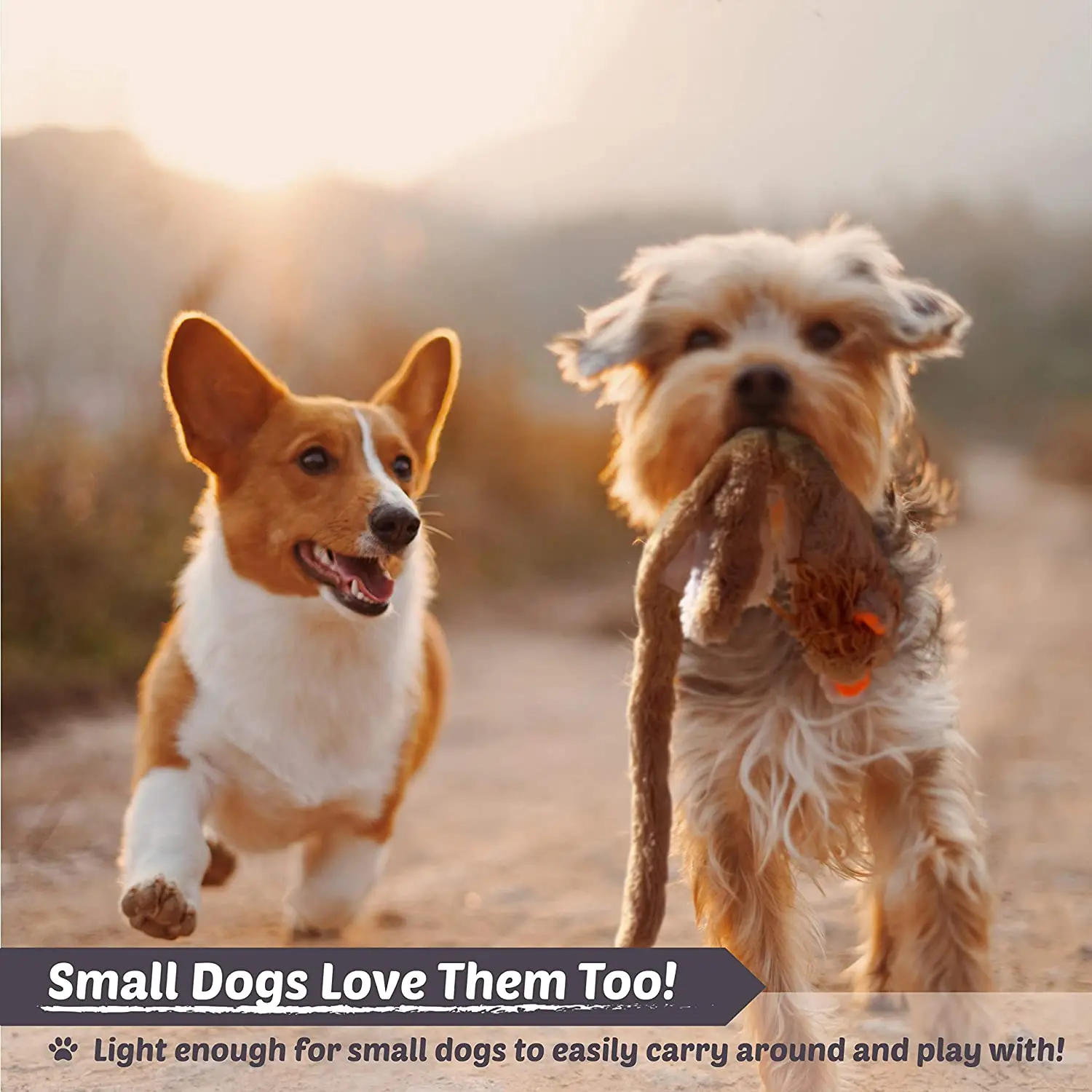 Interactive 6 Pack Pet Toys Dog Large Squeaky Toys Crinkle No Stuffing Animals Dog Plush Chew Toy for Small Medium and Large Dog