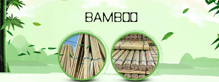 flower sticks001.jpg