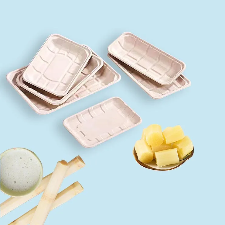 Biodegradable Disposable Dishes Sugarcane Bagasse Pulp Plates Meat Food Serving Trays  Disposable Trays