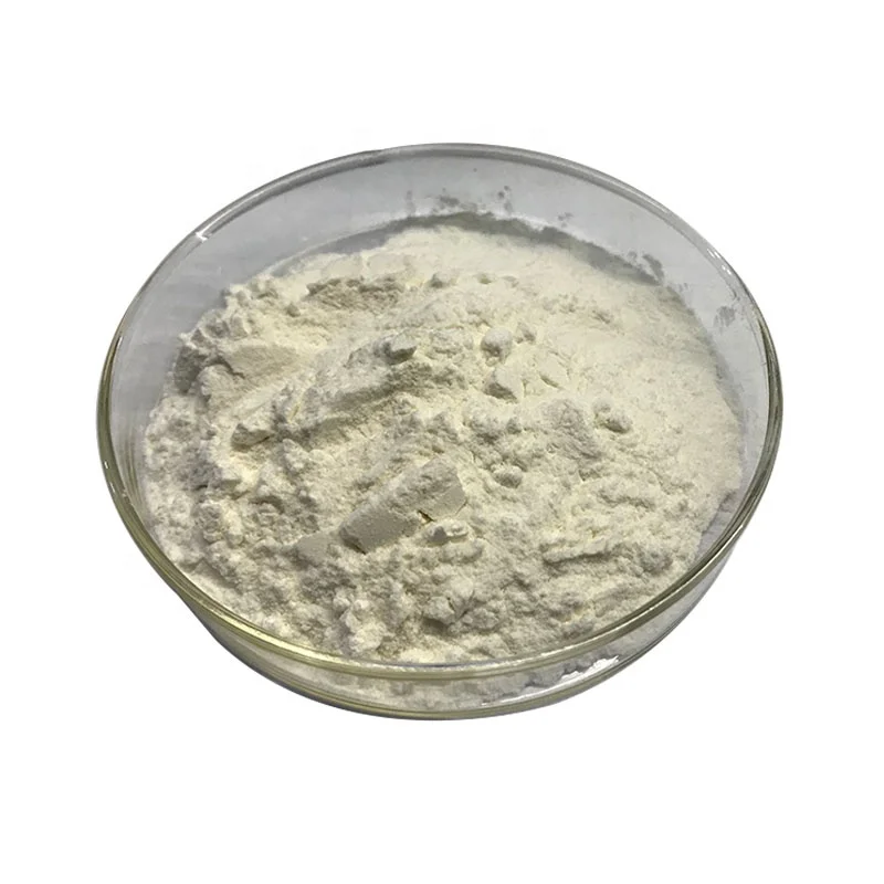 High Quality Green Plum Juice Powder