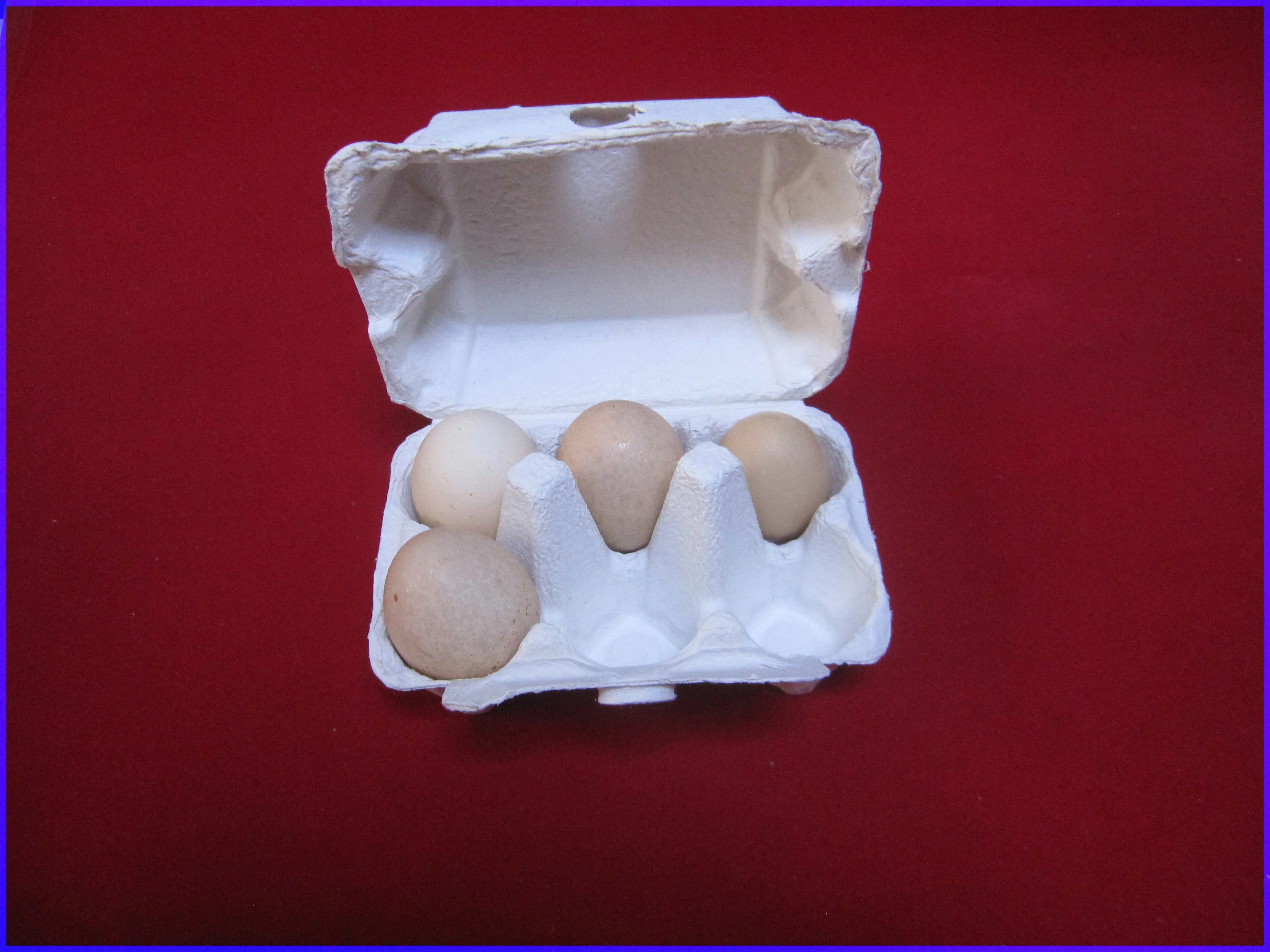 Wholesale eco-friendly egg holder box pulp moulding 4 pack white egg carton