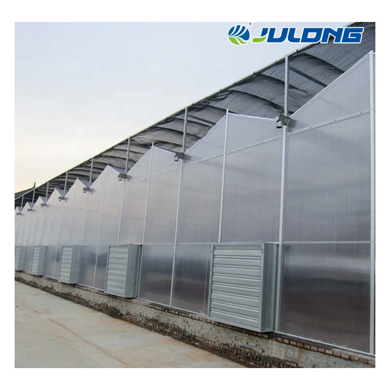 Hydroponics Greenhouses Greenhouse Supplier Polycarbonate Sheet Greenhouse for vegetables