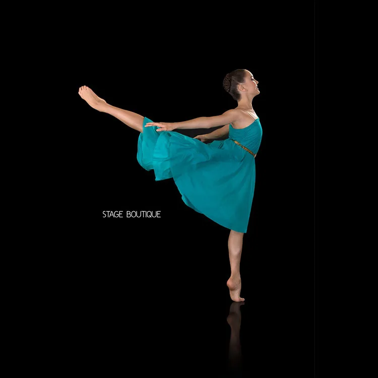 New Arrival Women Girls ballet lyrical  Dance costumes  power mesh ballet Dresses for Women