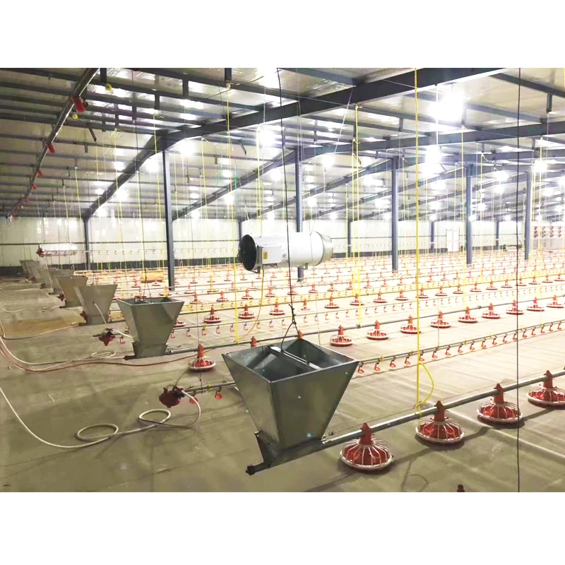 Factory Direct Sale Automated chicken breeding equipment Chicken Drinking Broiler Chicken Ground