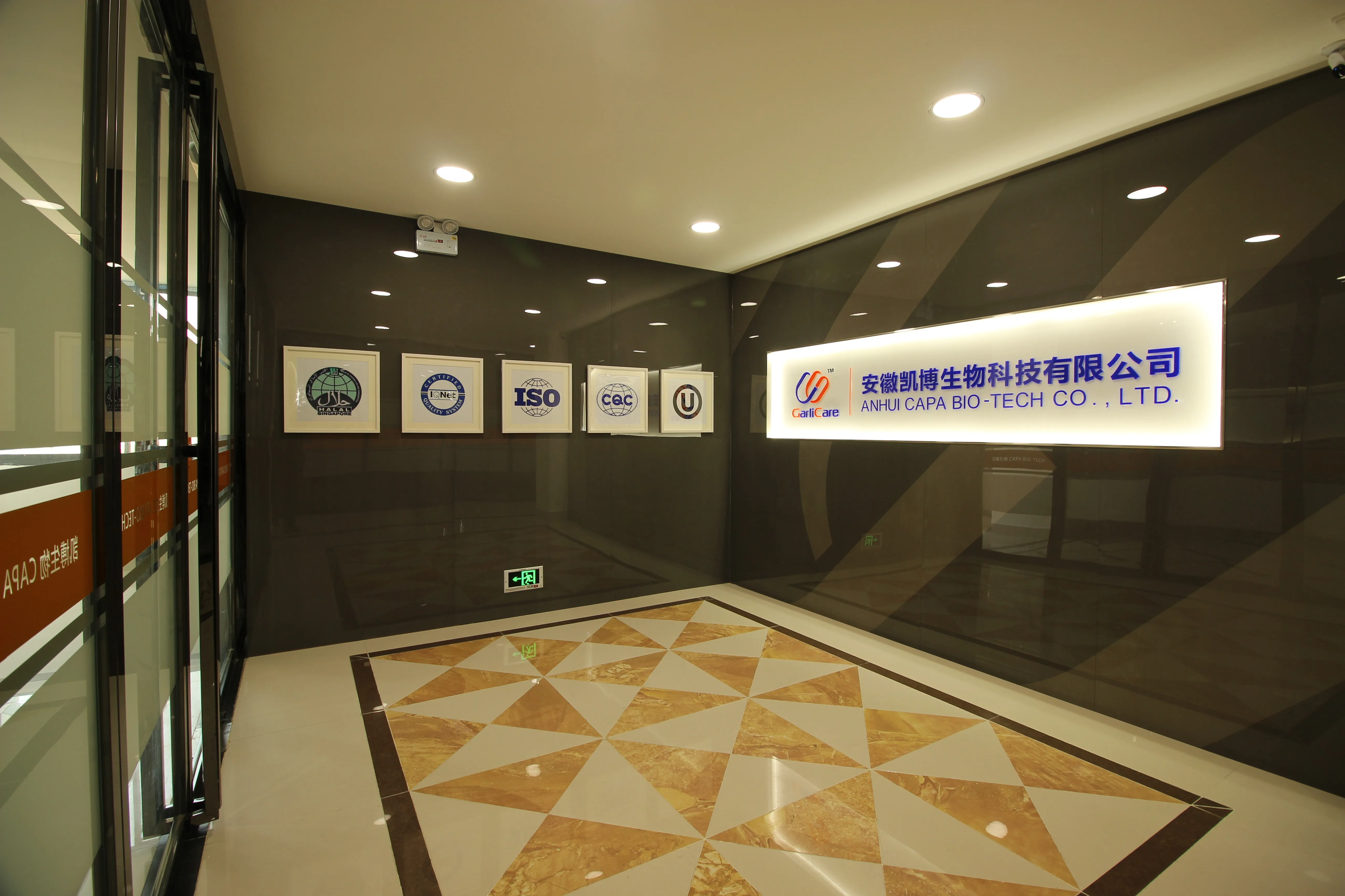 Professional Supplier Natural Essential Garlic Oil