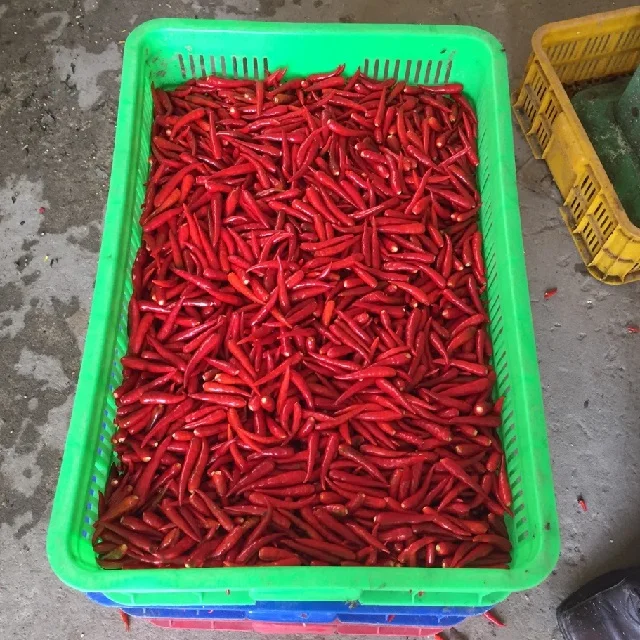 Fresh Frozen G4 Green Chilli