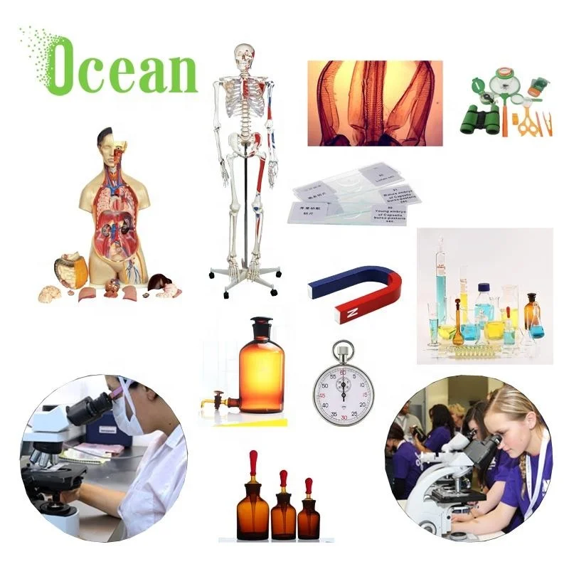 Stainless steel metal tray medical laboratory biological dissecting tray with wax for school