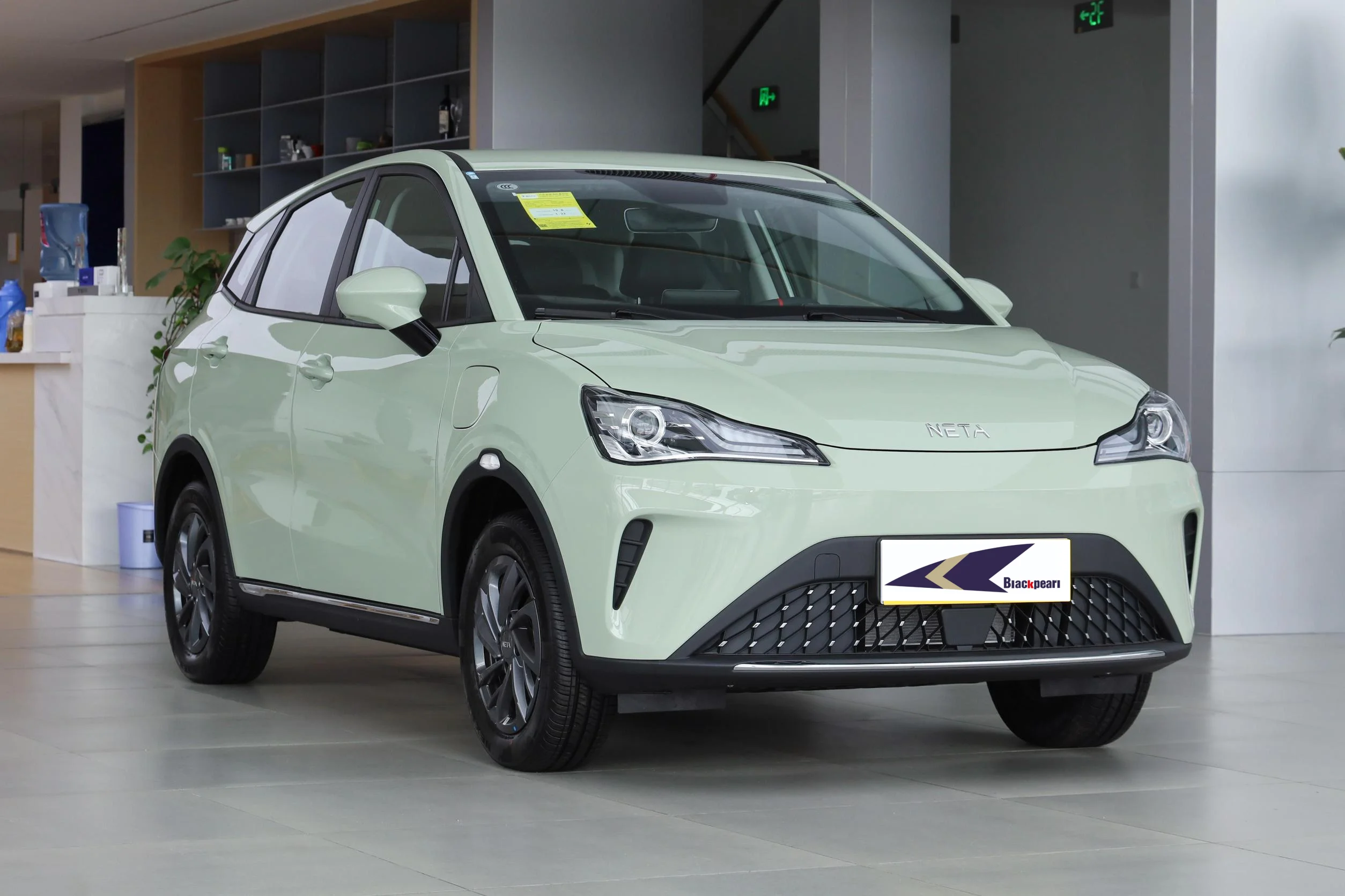 Pure Neta Ev Car China RHD Neta AYA Electric Car Right Hand Drive Ev Cars New Energy Vehicles SUV