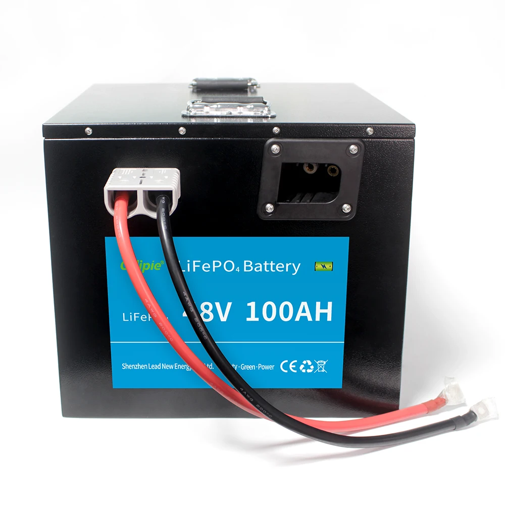ODIPIE Rechargeable Battery LiFePO4 Golf Cart Li Ion Battery Pack 48V 100Ah 51.2V 5Kwh