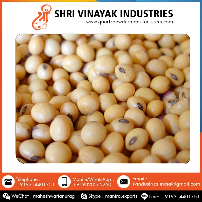
Food Grains Organic Soybean Seeds 