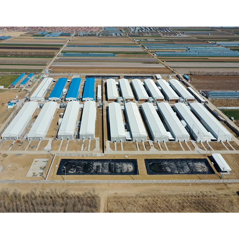 Современная Стальная конструкция по низкой цене сборный домик для птицеводства Строительный яиц куриных