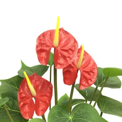 Anthurium Artificial Flowers Wholesale China Outdoor, Buy Artificial Flower