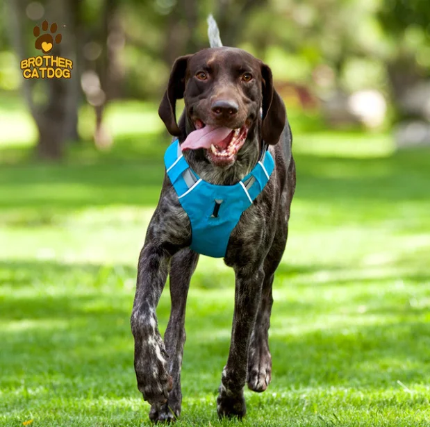 Dog Harness No Pull Pet Reflective Nylon Vest Soft Breathable Mesh Padded No Pull Dog Harness Set for Small Medium Large Dogs