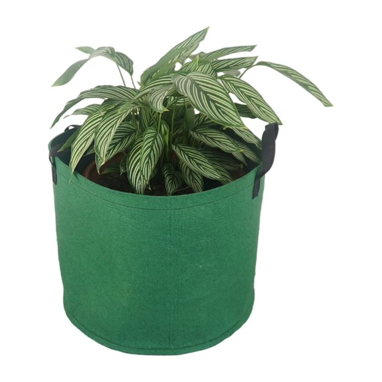 Professional Manufacture Cheap Strawberry Plastic 30 Gallon Vegetable Garden Planting Fabric Grow Bags Grow Bag Potato Grow Bag