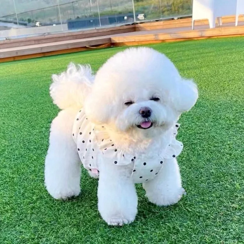 Qbellpet Newest Pet summer clothing ultra-thin sun protection dress for cats teddy bears Yorkshire puppy clothing