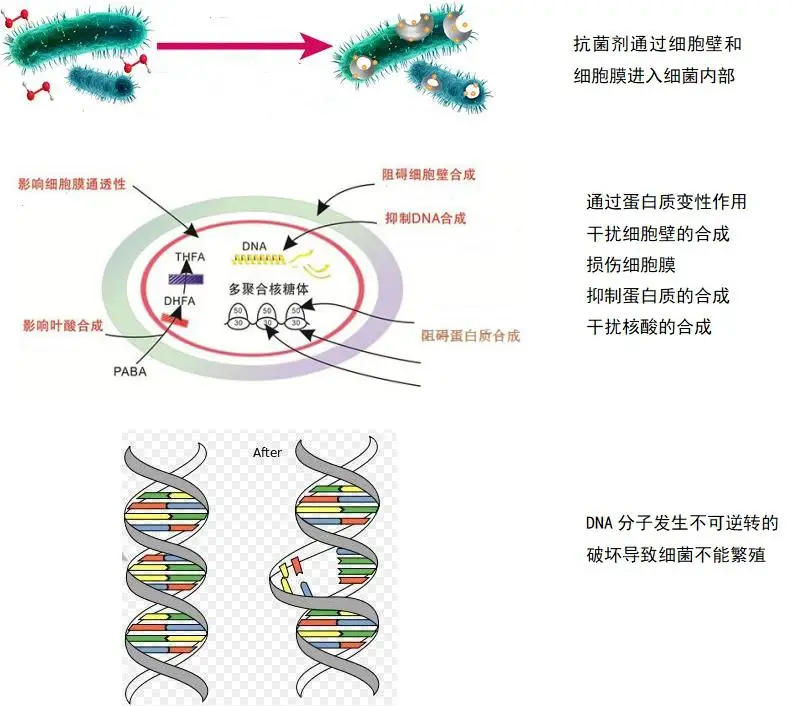 Fabric nano silver antibacterial finishing agent AGS-F-1