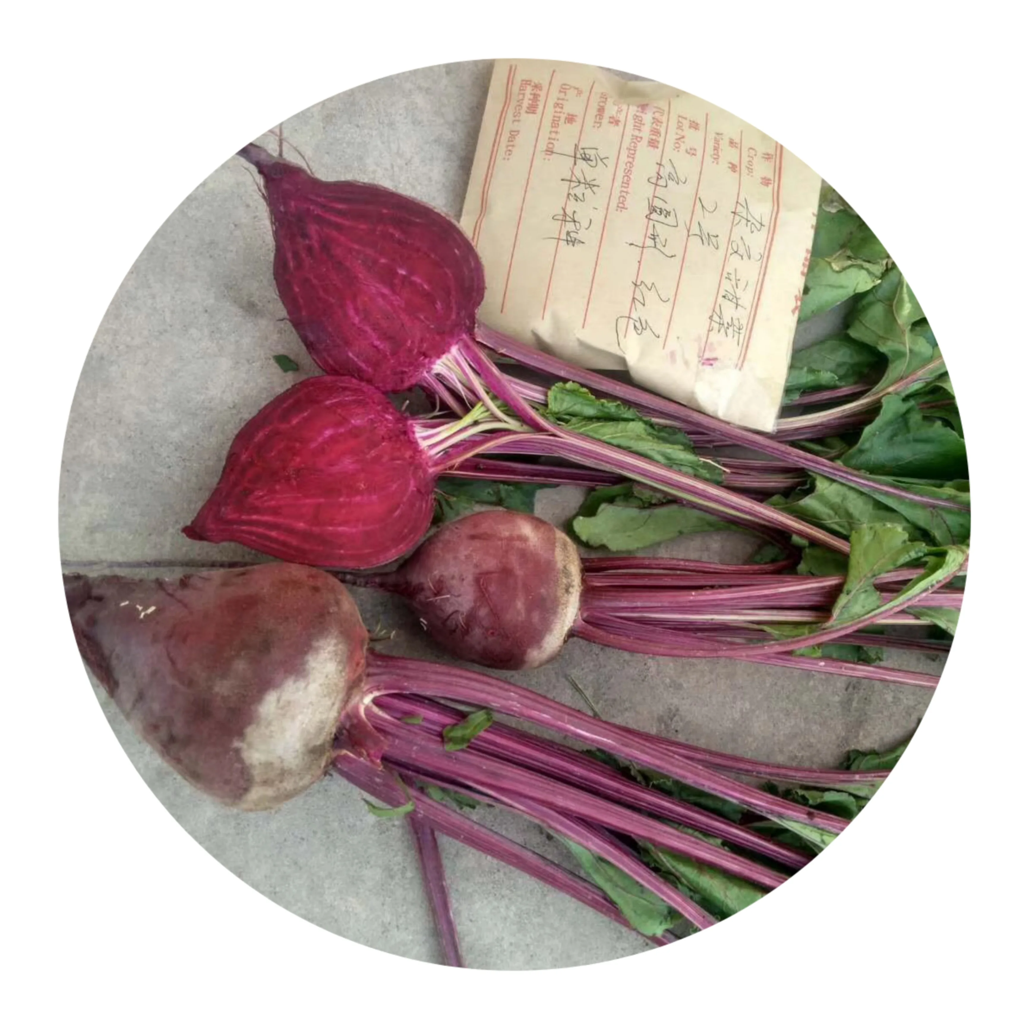 10 г высокоэффективные китайские овощные NBT04 #3 Семена Красной свеклы