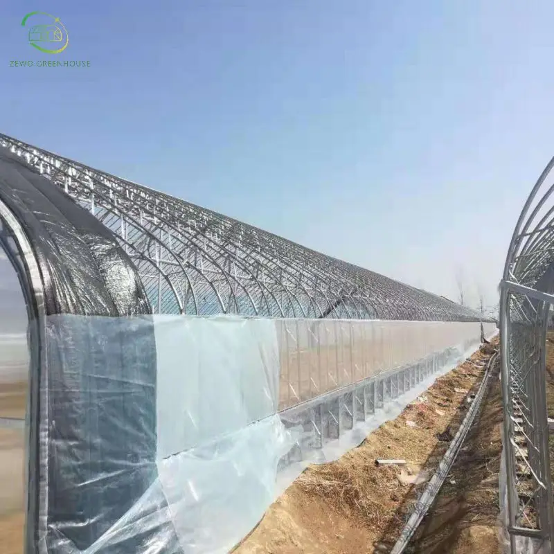wholesale price  Waterproof Fabric Film Agricultural Greenhouse Plastic Film from factory