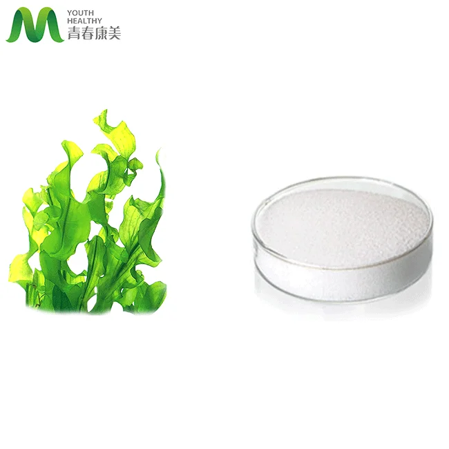 Adhesive, Stability, Molding Agent Sodium Alginate Food Grade China