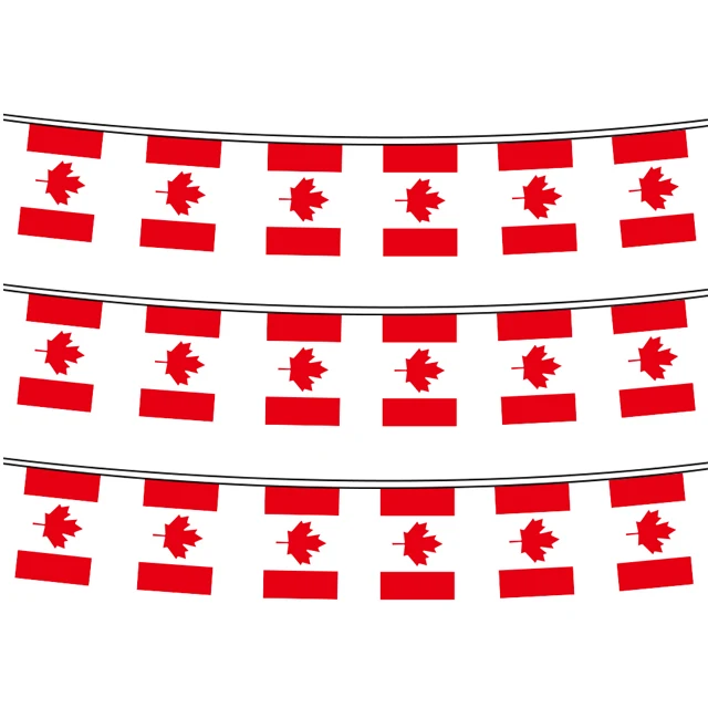 High quality Switzerland rectangle string flag polyester pennant bunting national flags